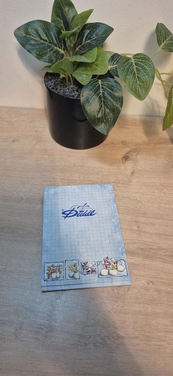 Carnet de feuilles diddl