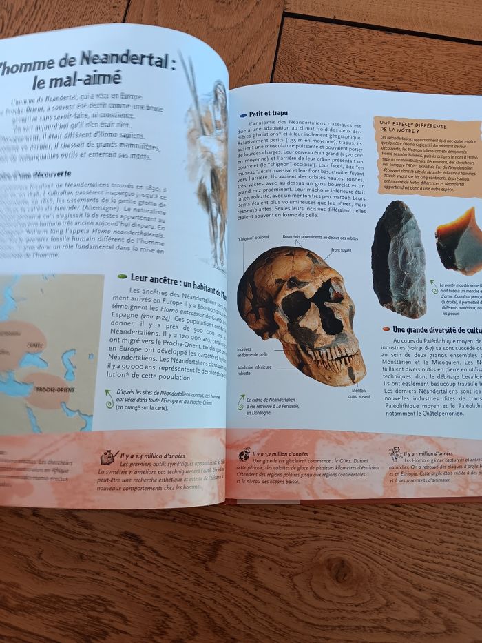 Livre sur la préhistoire - photo numéro 4