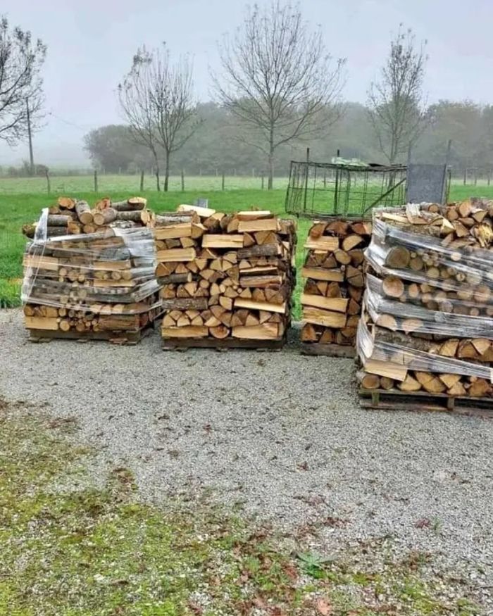 Bois de chauffage - photo numéro 2