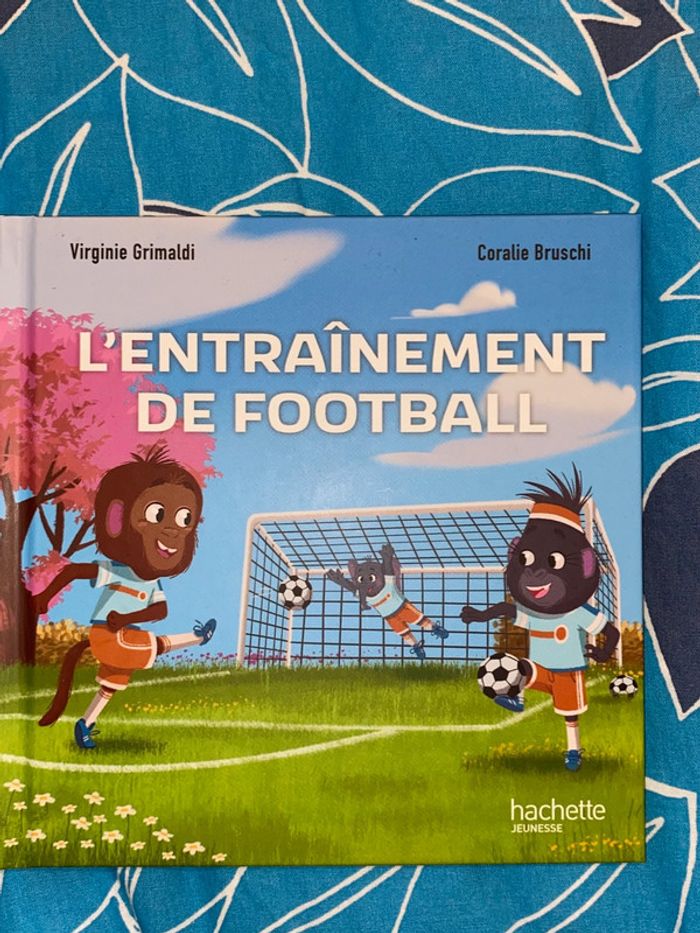 Lot de 6 livres Hachette Jeunesse - photo numéro 4