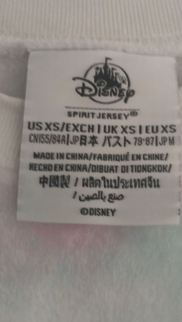 Pull spirit Disneyland - photo numéro 4