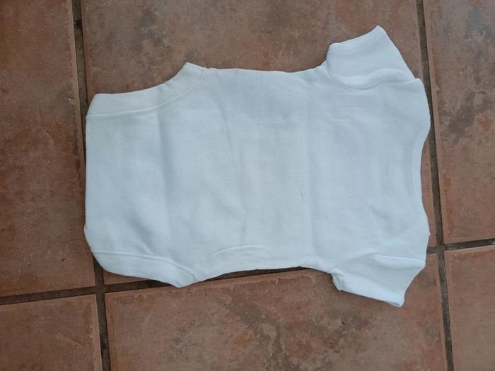 Body garçon 1 MOIS - photo numéro 2