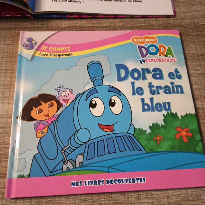 Lot livres et cubes Dora l'exploratrice - photo numéro 5