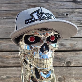 Casquette flexfit Lost vintage surf skate de 2005