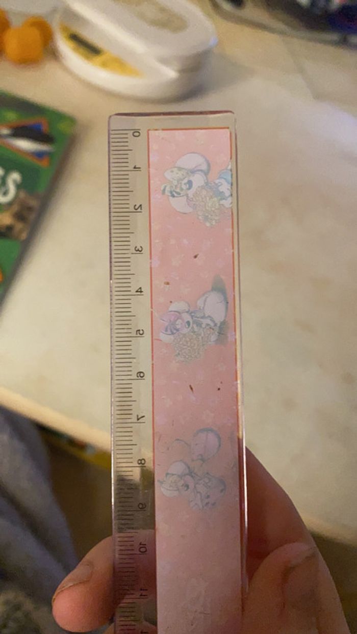 Regle Diddle - photo numéro 3