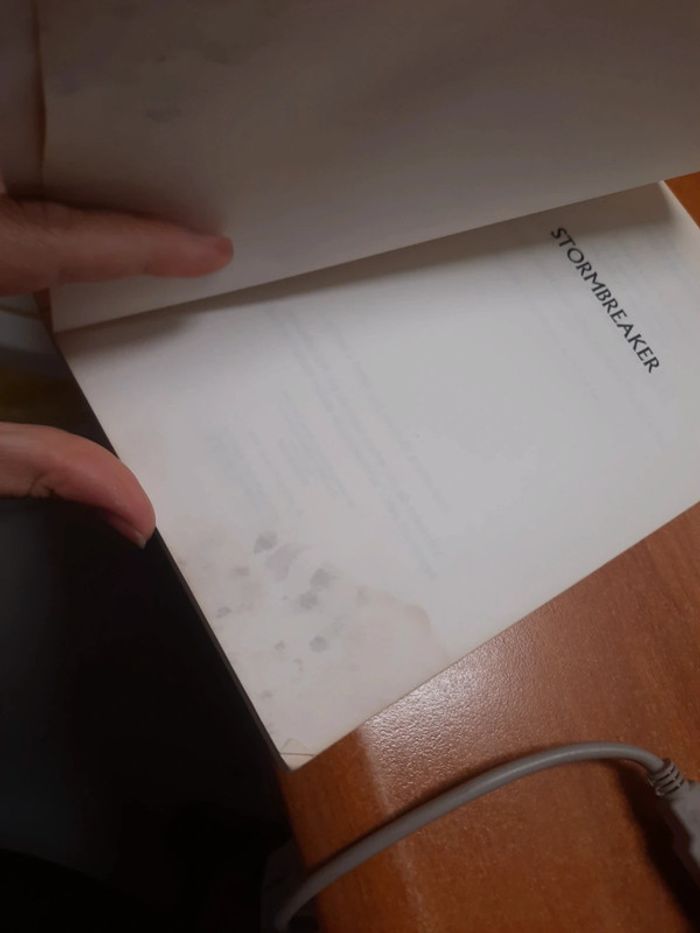 Livre stormbreaker - photo numéro 8