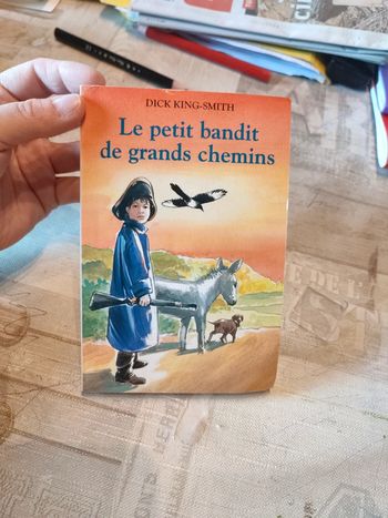 Le petit bandit de grand chemin