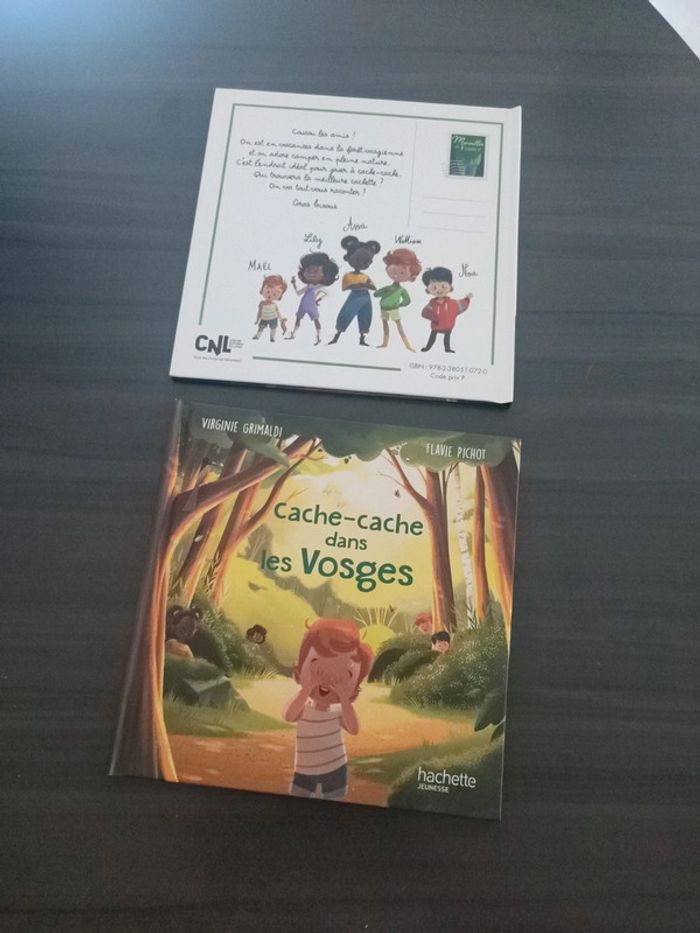 Cache cache dans les Vosges - photo numéro 1