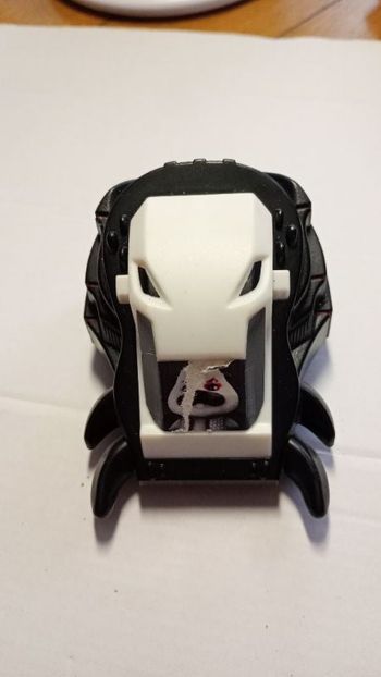 Kung Zhu pets"carapace"