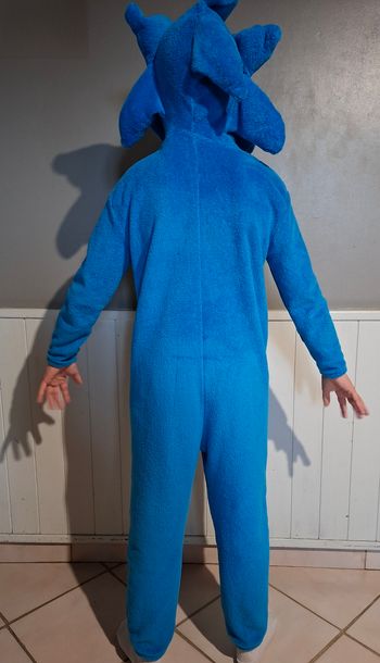 Combinaison polaire Sonic