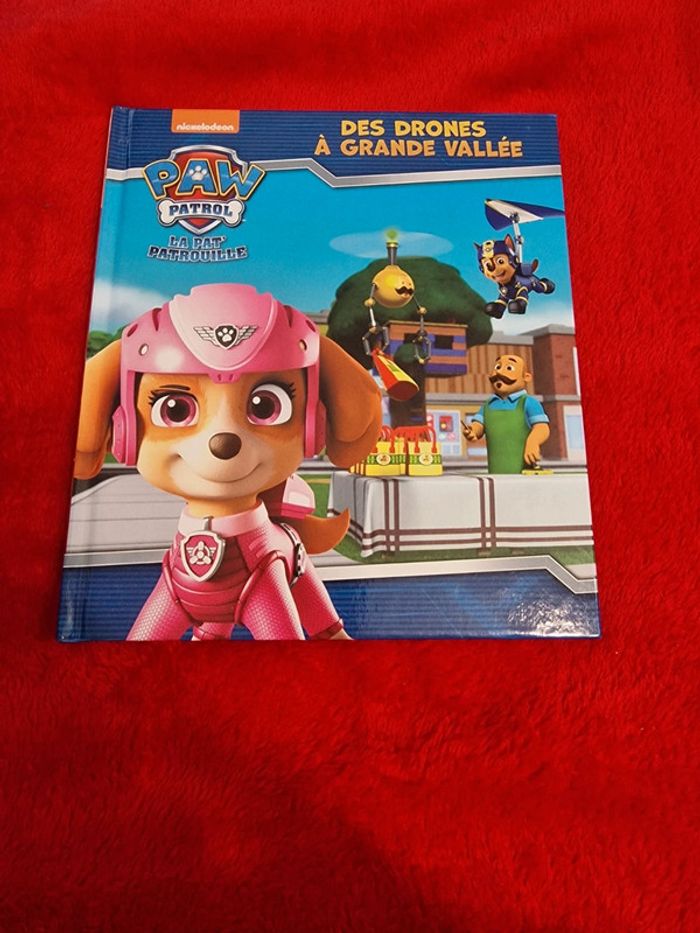 Livre pat patrouille des drones à grande vallée