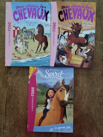 Mes Amis Les Chevaux et Spirit