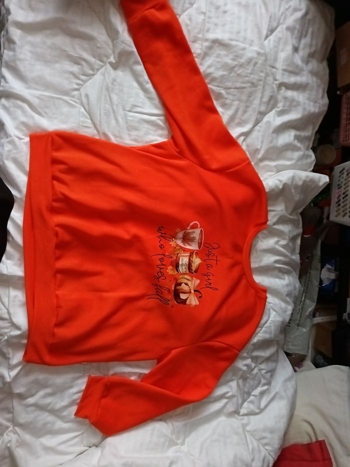 Pull automne - photo numéro 2