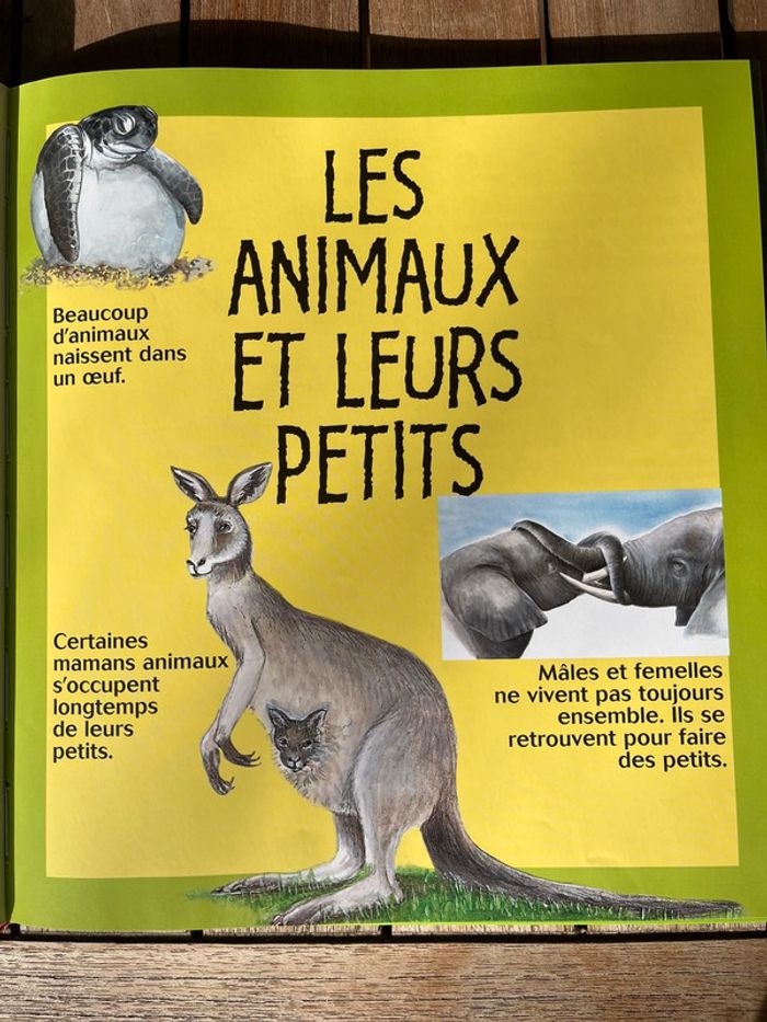 livre l’encyclopédie Larousse - photo numéro 7