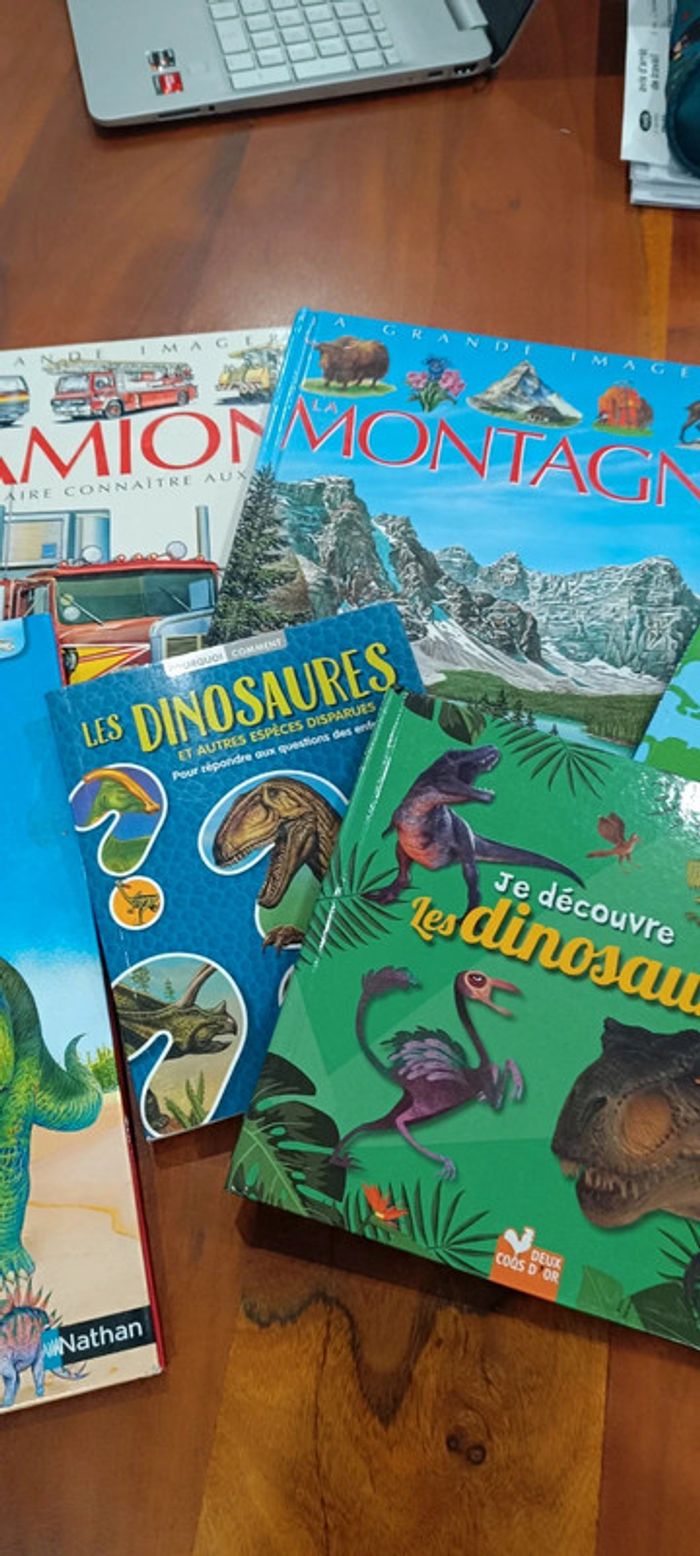 Lot de 7 livres jeunesse documentaires - photo numéro 3
