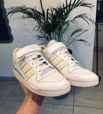 Adidas forum low