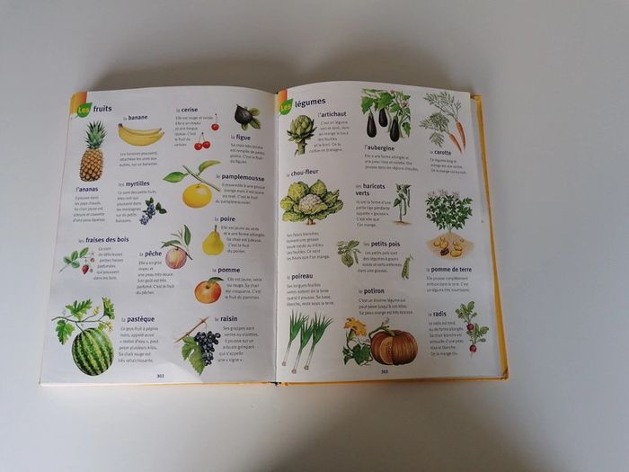 Dictionnaire Larousse maternelle 📕 - photo numéro 9