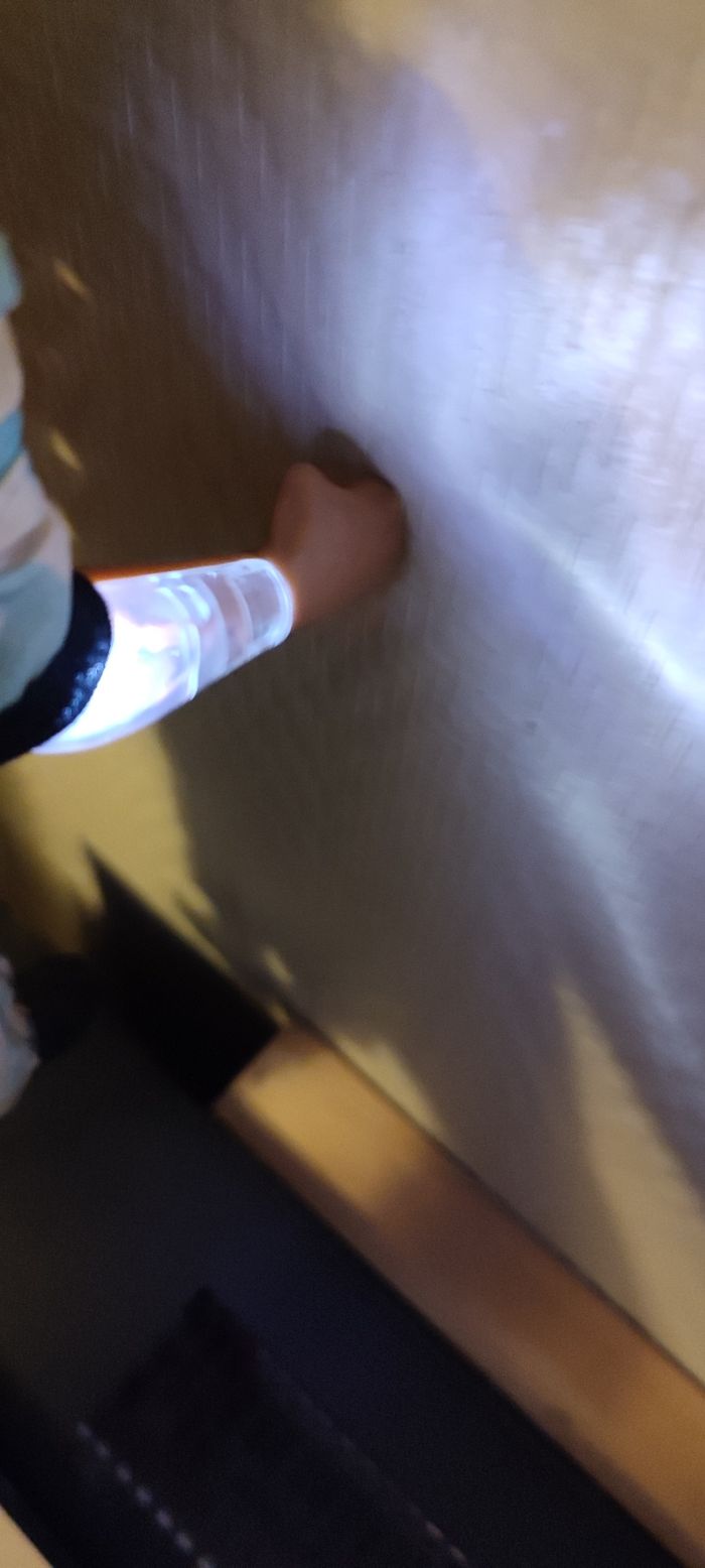 Poupée biomic - photo numéro 3