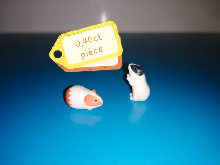 Thème* animaux rongeur / hamster - lapin - souris - écureuil - photo numéro 2