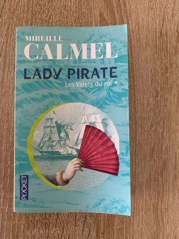 Lady pirate tome 1 la vallée du roi