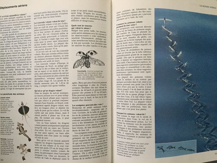 AA11-Livre: ABC de la nature NEUF - photo numéro 4