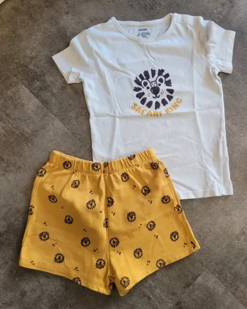 Ensemble lion 3 ans