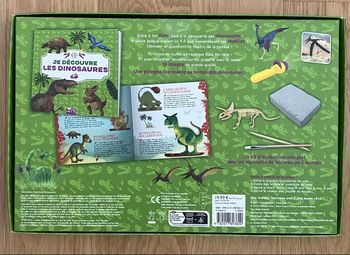 Je découvre les dinosaures - coffret avec lampe et kit excavation