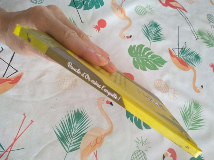 Livre enfant Boucle d'Or mène l'enquête - photo numéro 3