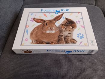 Puzzle 1000 pièces 
