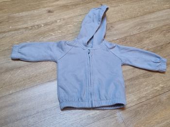 Sweat à capuche bébé garçon gris 6-9 mois Primark Cares