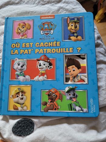 Ou est cachée la pat patrouille ?