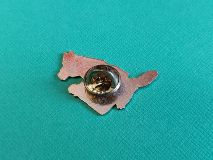 Pin's Rat Splinter - Tortues Ninja - époque années 90 - photo numéro 2