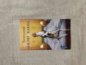 Livre – Maudit Karma – David Safier  