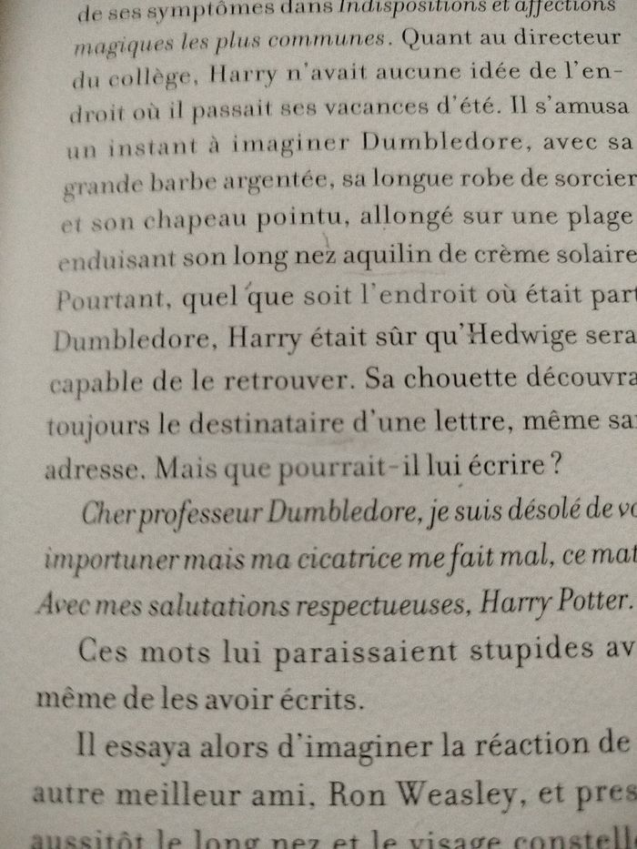Harry Potter et la coupe de feu - Illustré Gallimard - photo numéro 10