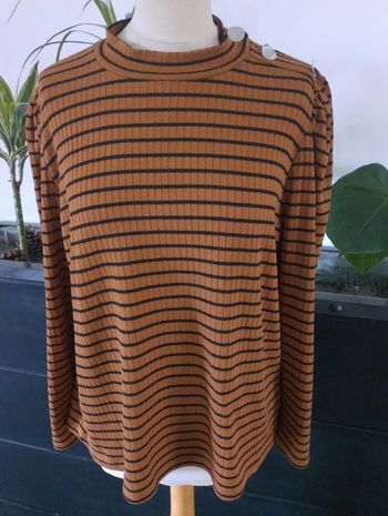 Col roulé Grain de Malice