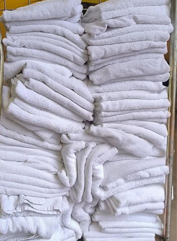 Serviettes de toilettes 