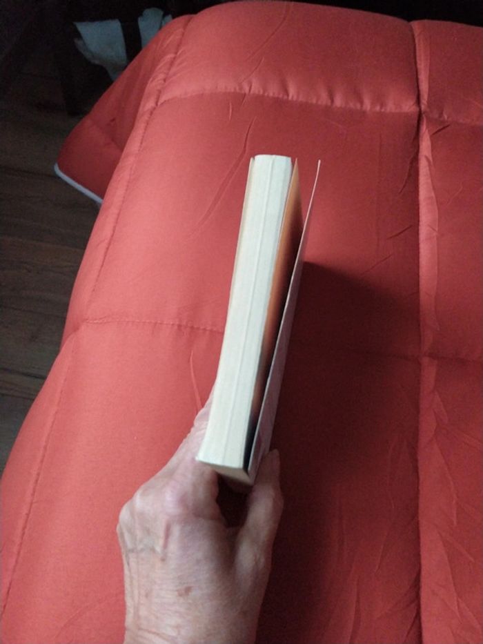 Quelqu'un de bien de Françoise Bourdin - photo numéro 5