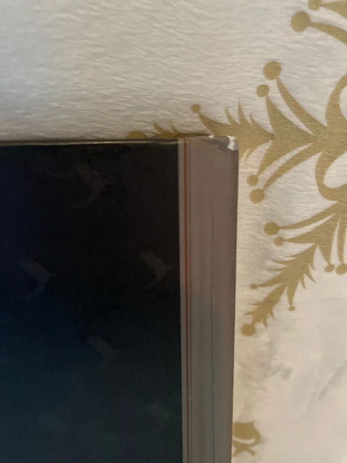 Livre BD Les carnets de Cerise Tome 1 Le zoo Pétrifie - photo numéro 4