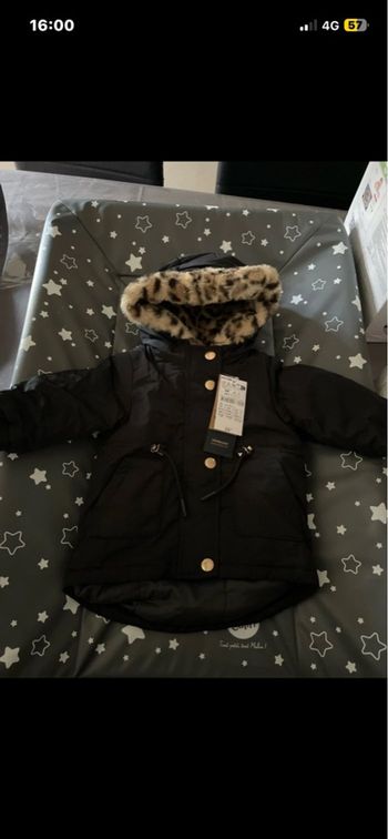 Manteau