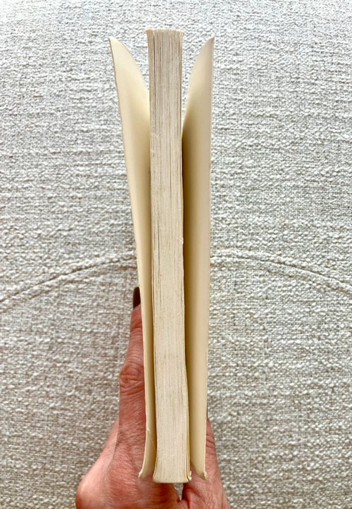 Livre J'ai tué Mister Hyde : l'ivresse du moi de Jean-Guy Duranceau - Editions Connivences - photo numéro 4