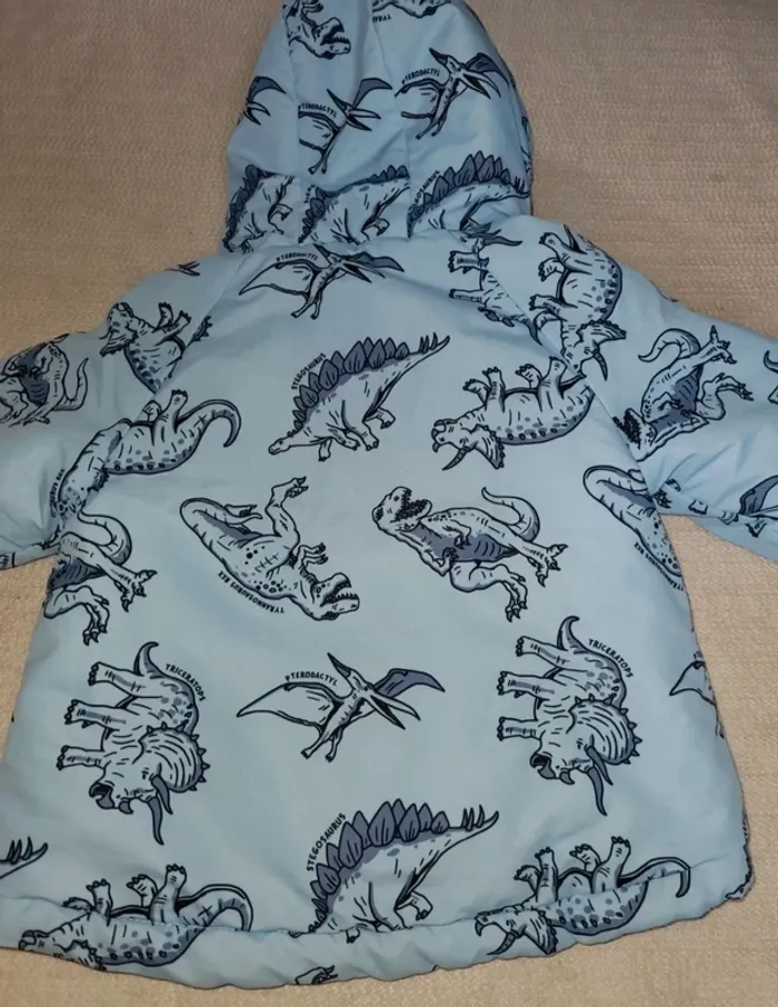 Manteaux à capuche taille 6/9 mois - photo numéro 3