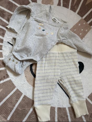 Ensemble koala