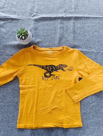 Tee-shirt manches longues dinosaure 🦖