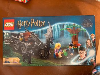 Lego 76400 Harry Potter • La diligence et les sombrals de Poudlard