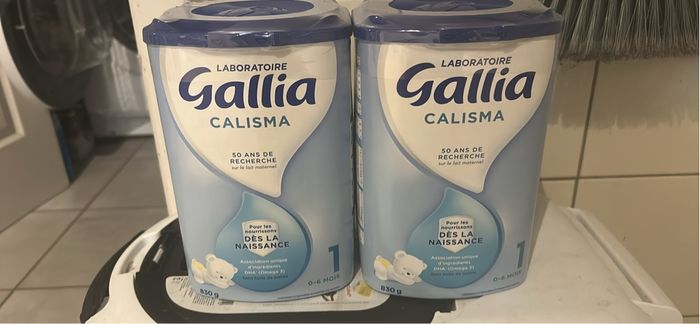 Gallia calisma 1 - photo numéro 2