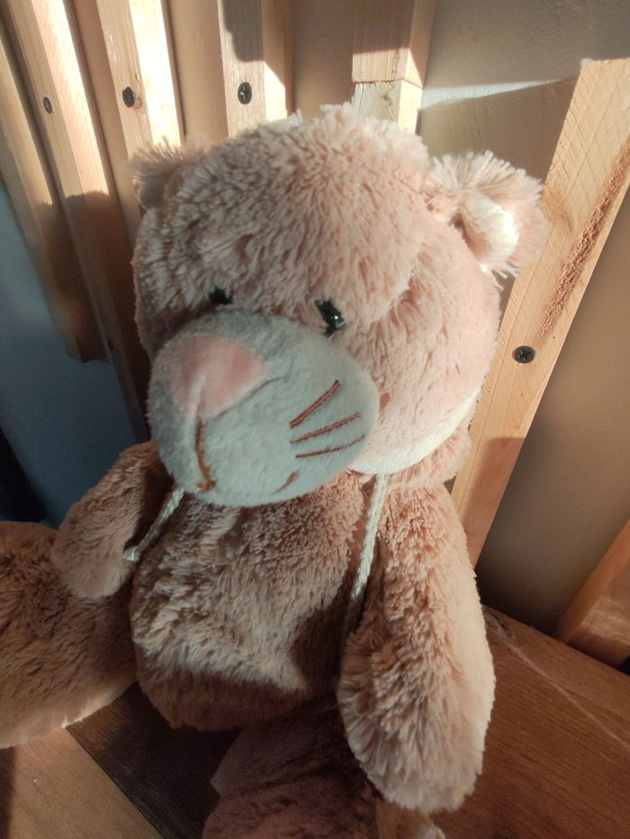 Chat beige la galleria - photo numéro 2