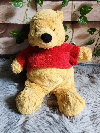 🥰Winnie l’ourson 🥰