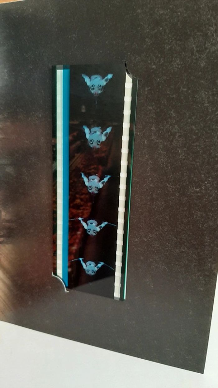 Pellicule Demon Slayer Inosuke manga - photo numéro 2