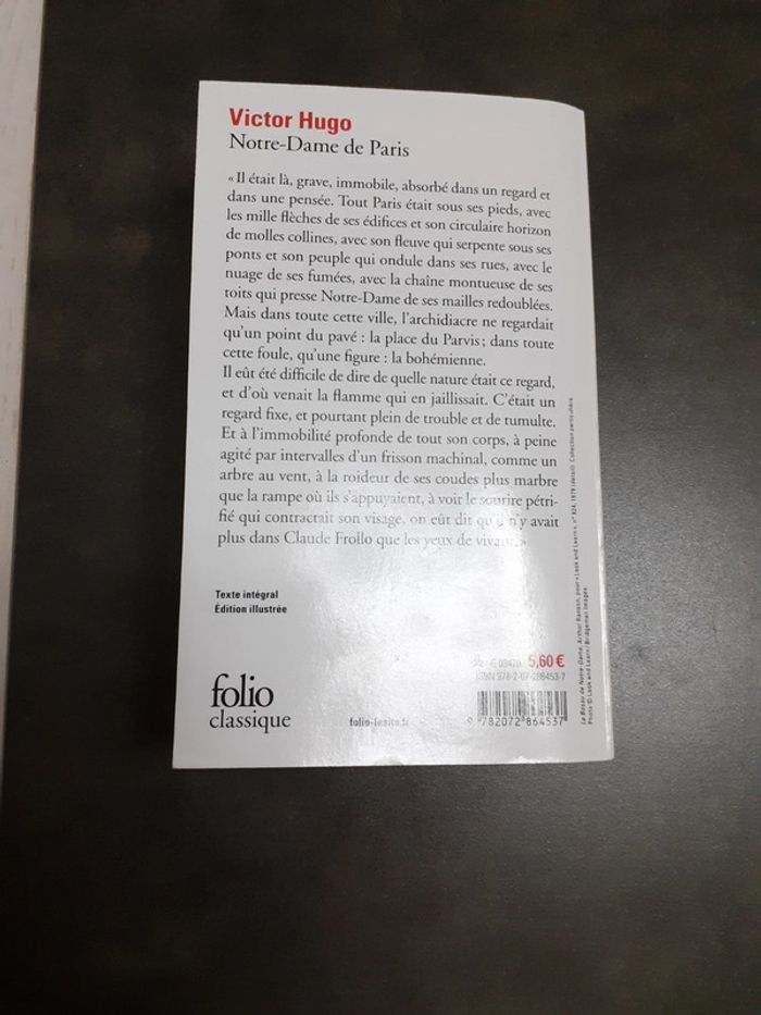 Hugo notre-dame de paris - photo numéro 2