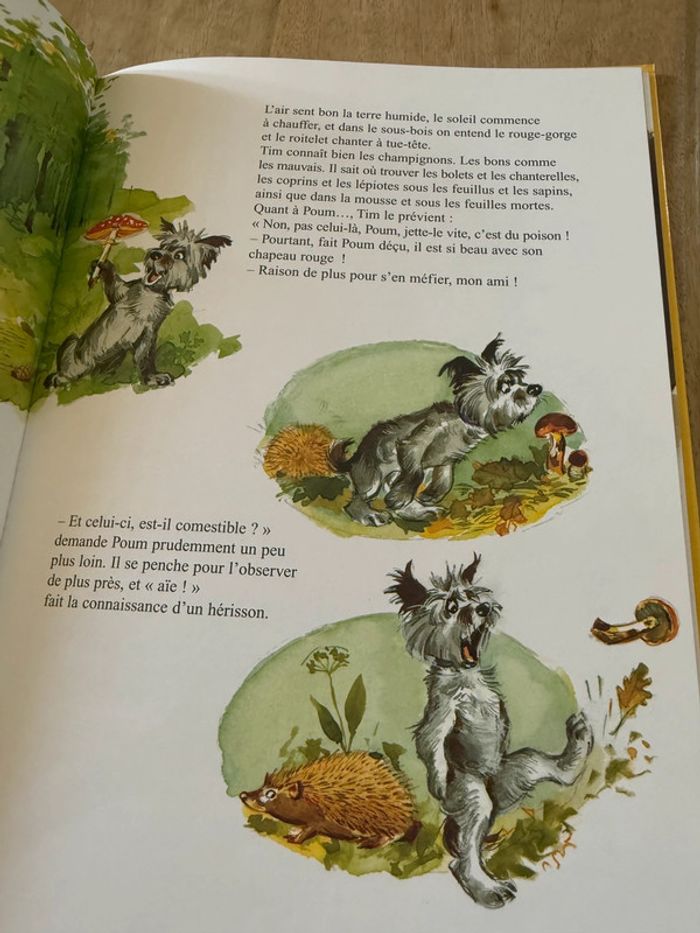 Grand livre album vintage Tim et Poum dans la forêt Pierre Probst auteur Caroline - photo numéro 6